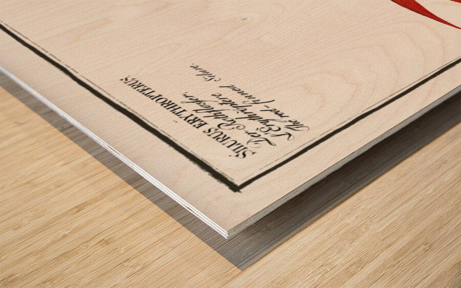 1. Helmed Silure Silurus galeatus 2. Red-finned Silure Silurus erythropterus Wood print