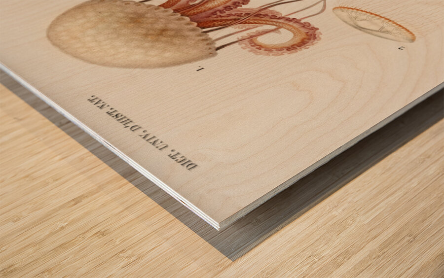 Different types of marine life Wood print