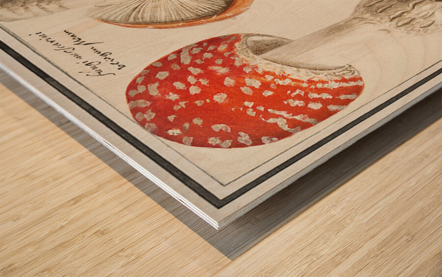 Mushrooms in vintage style Wood print