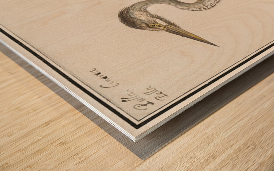 Blue heron in vintage style Wood print