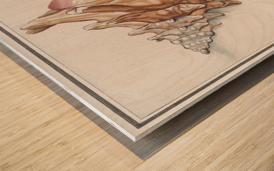 Swan in vintage style Wood print