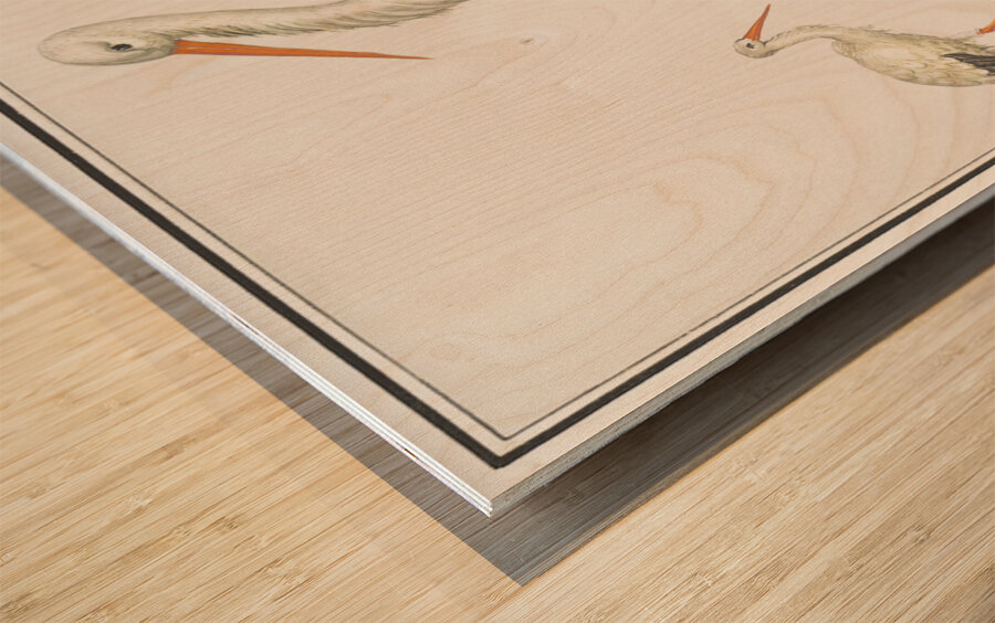 Stork in vintage style Wood print