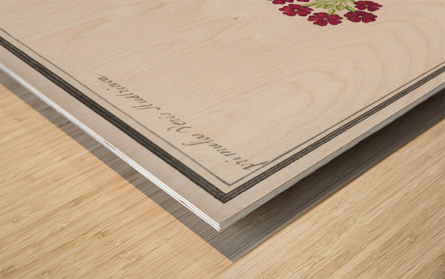 Primrose in vintage style Wood print