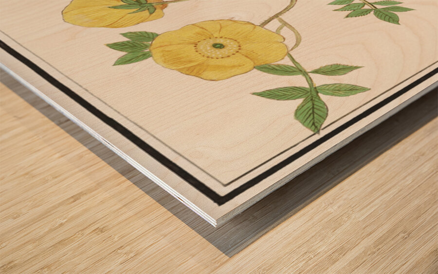 Yellow rose in vintage style Wood print