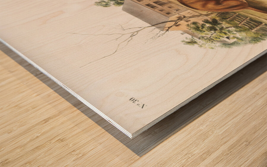 Tawny Weasel Putorius fuscus  Wood print