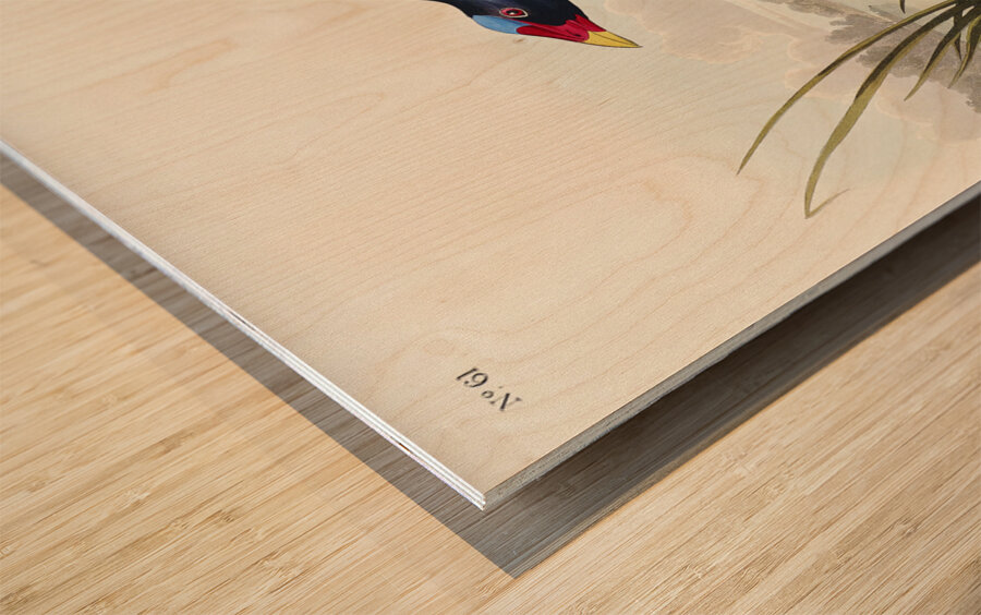 Black Vulture or Carrion Crow Wood print