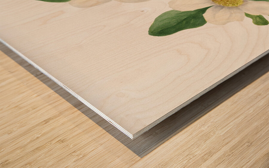 Pacific Dogwood Cornus nuttallii 1933 Wood print