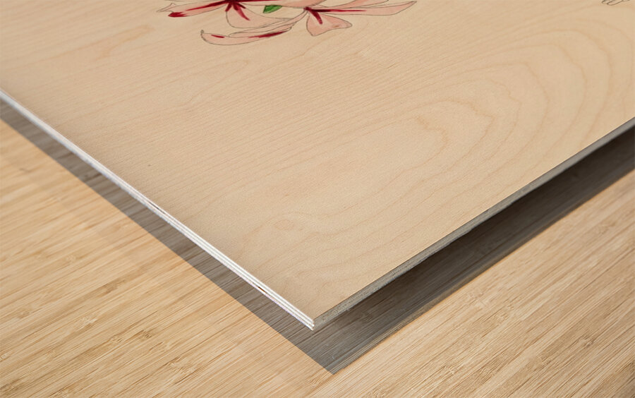 Pachypodium Succulentum Wood print