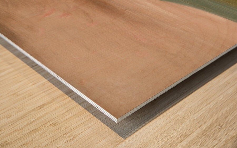 Medicine Buffalo of The Sioux 1837-1839 Wood print