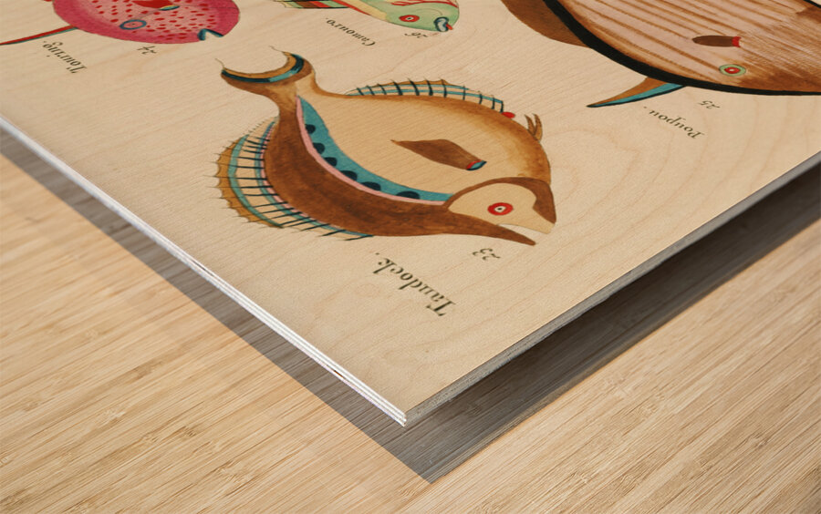 Colourful and surreal illustrations of fishes found in Moluccas Indonesia and the East Indies by Louis Renard 1678 -1746 from Histoire naturelle des plus rares curiositez de la mer des Indes 1754. Wood print