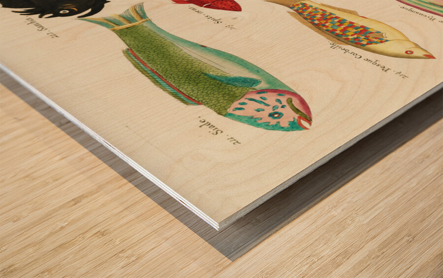 Colourful and surreal illustrations of fishes found in Moluccas Indonesia and the East Indies by Louis Renard 1678 -1746 from Histoire naturelle des plus rares curiositez de la mer des Indes 1754. Wood print