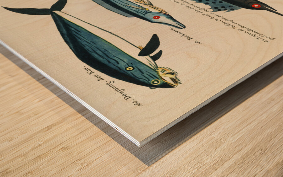 Colourful and surreal illustrations of fishes found in Moluccas Indonesia and the East Indies by Louis Renard 1678 -1746 from Histoire naturelle des plus rares curiositez de la mer des Indes 1754. Wood print