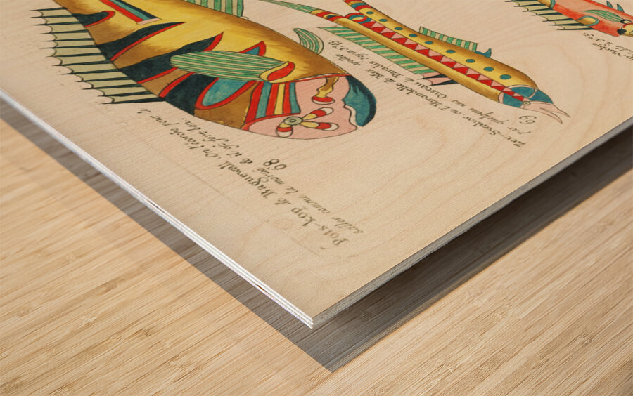 Colourful and surreal illustrations of fishes found in Moluccas Indonesia and the East Indies by Louis Renard 1678 -1746 from Histoire naturelle des plus rares curiositez de la mer des Indes 1754. Wood print