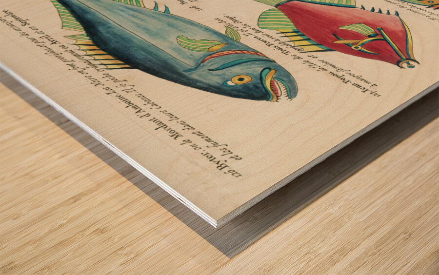 Colourful and surreal illustrations of fishes found in Moluccas Indonesia and the East Indies by Louis Renard 1678 -1746 from Histoire naturelle des plus rares curiositez de la mer des Indes 1754. Wood print