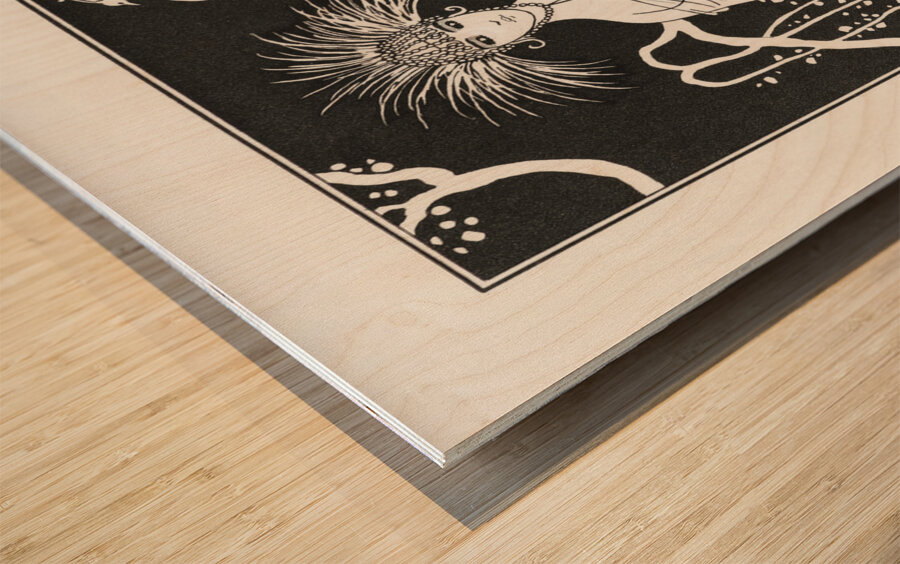 Costumes Parisiens 1914 fashion illustration by George Barbier.  Wood print