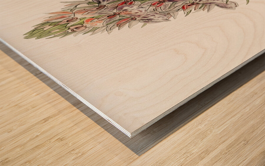 Leafy spiked orchis from Edwards Botanical Register 1829-1847  by Sydenham Edwards John Lindley and James Ridgway. Wood print