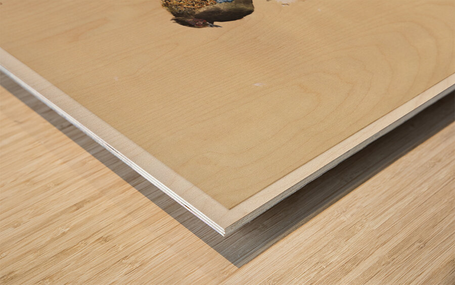 Pheasant on cherry blossom branch 1887-1945 by Ohara Koson 1877-1945. Wood print